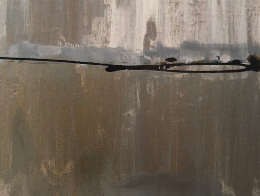 Time of the Cottonwood Trees